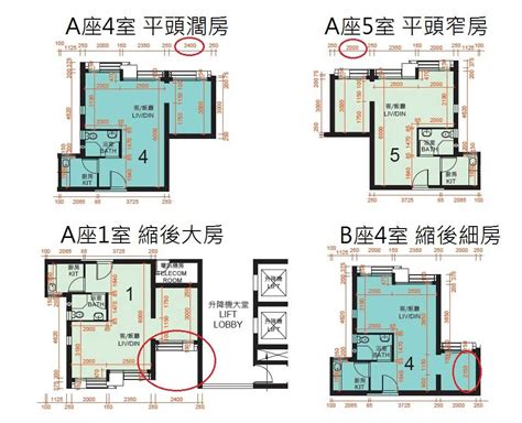 香港最差風水屋苑|【樓市八卦陣】淺談今年新居屋風水（一）